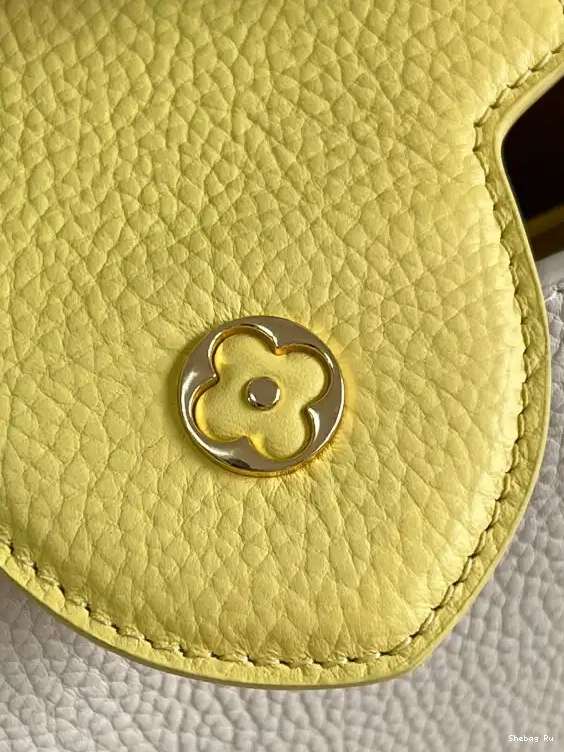VUITTON BB CAPUCINES LOUIS 0529